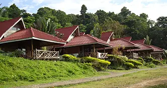 Phu Pha Buri Hill side Family Bungalows